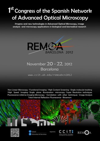 SPAOM 2012 poster