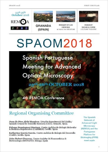 SPAOM 2018 poster